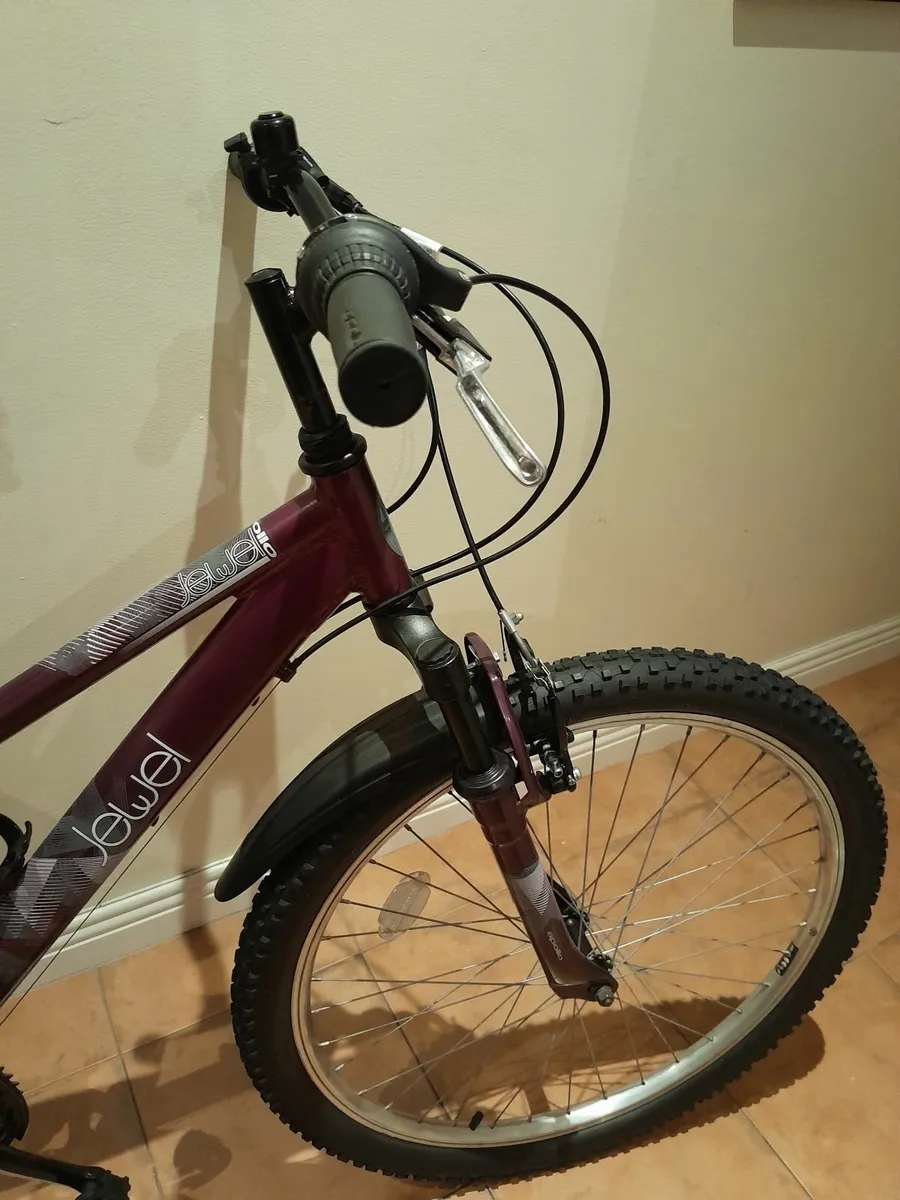 Bicycle - Image 4