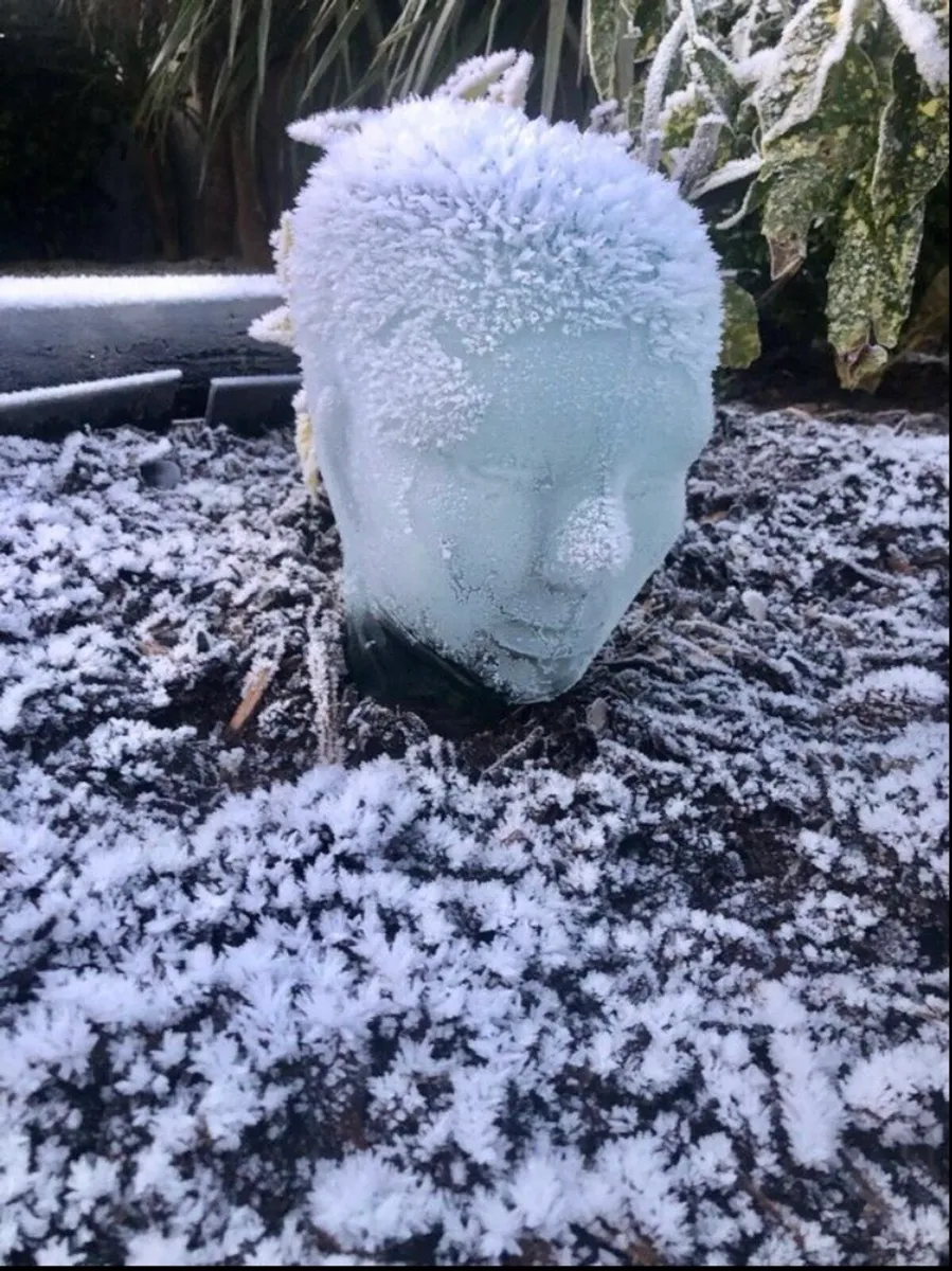 Glass head - Image 3
