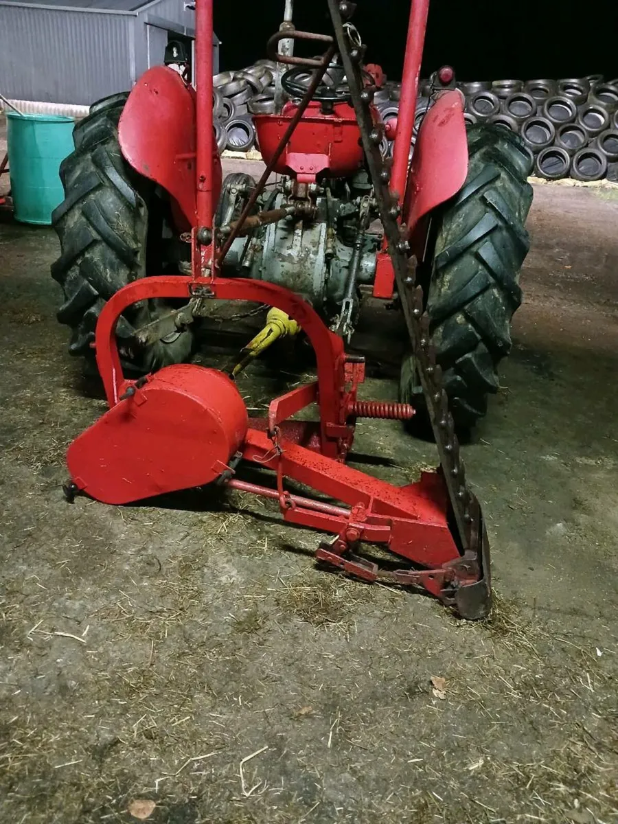 Massey 60 fingerbar - Image 2