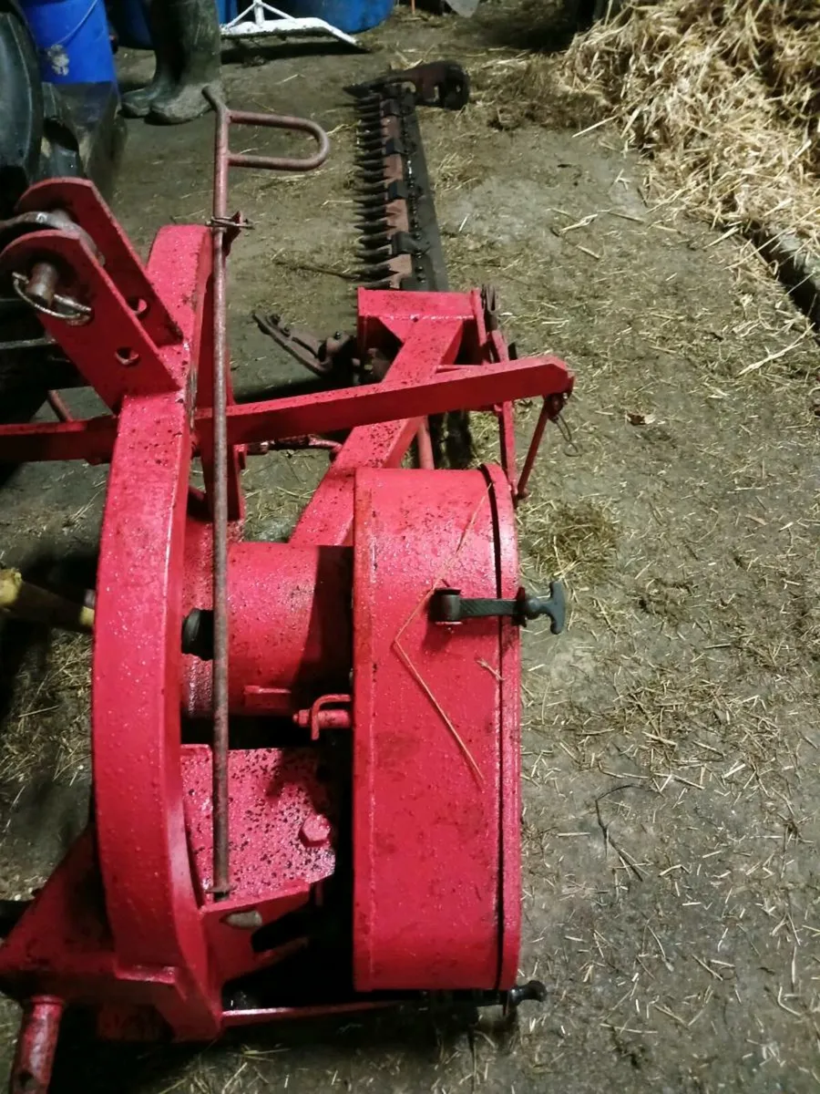 Massey 60 fingerbar - Image 4