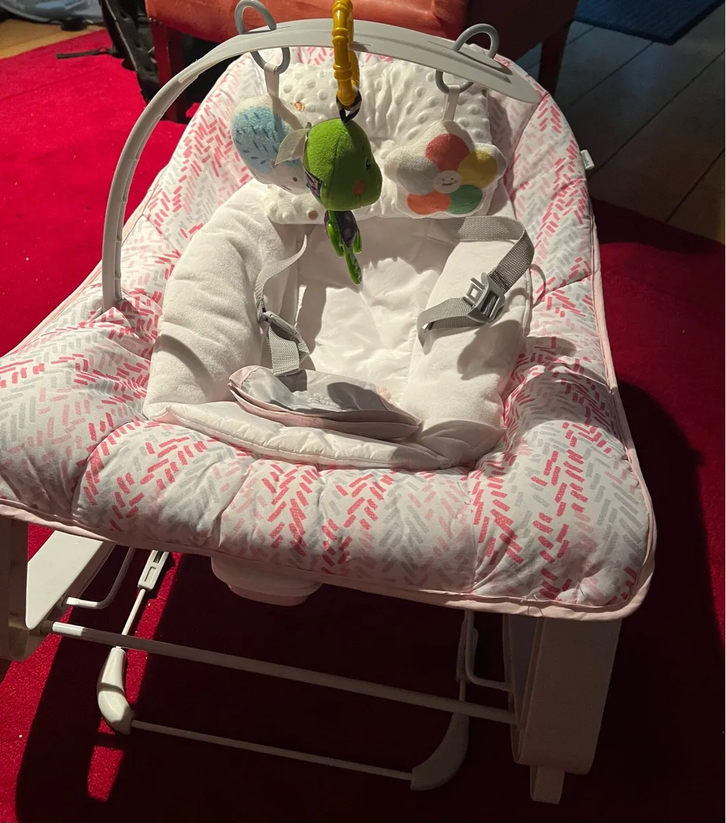 Ingenuity Baby Bouncer - Image 1