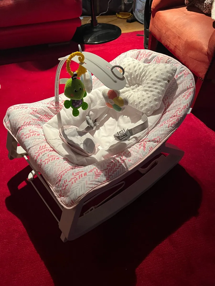 Ingenuity Baby Bouncer - Image 2