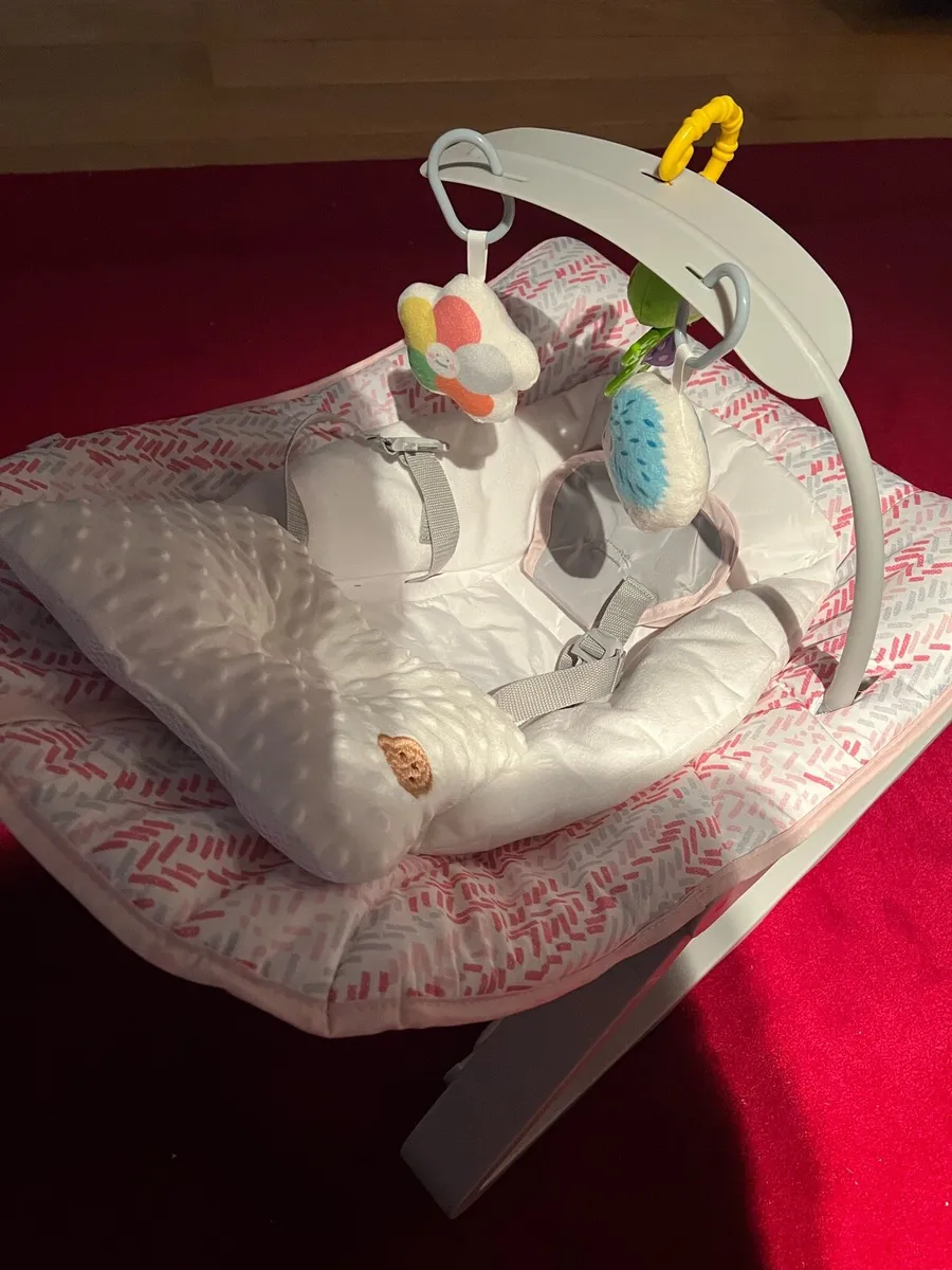 Ingenuity Baby Bouncer - Image 3