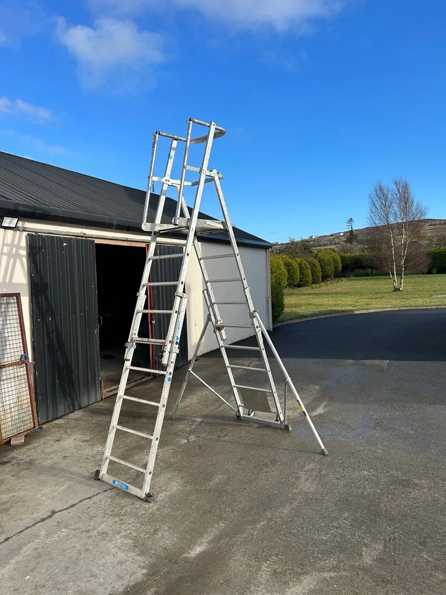 Podium ladders for sale - Image 1