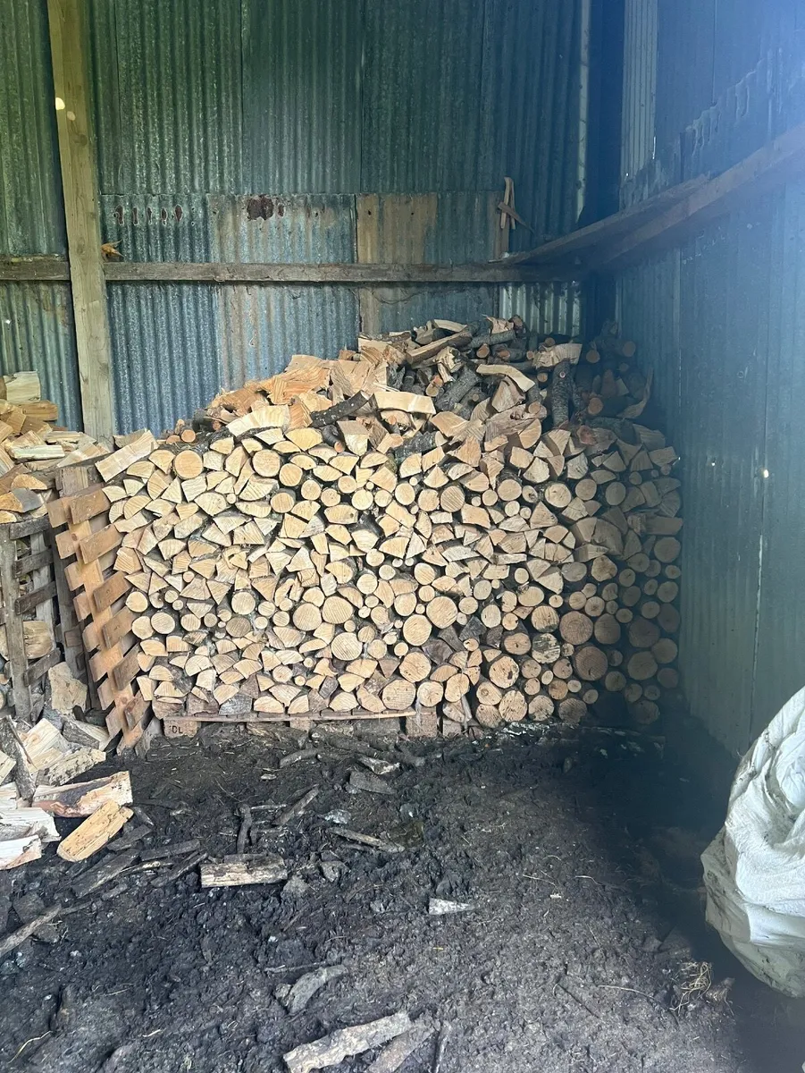 Seasoned firewood - Image 1