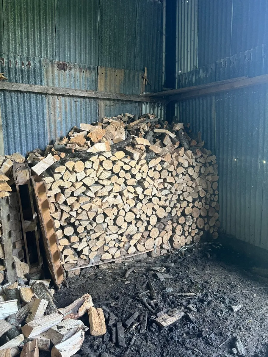 Seasoned firewood - Image 2