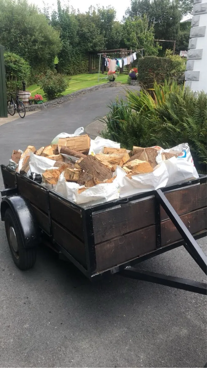 Seasoned firewood - Image 3