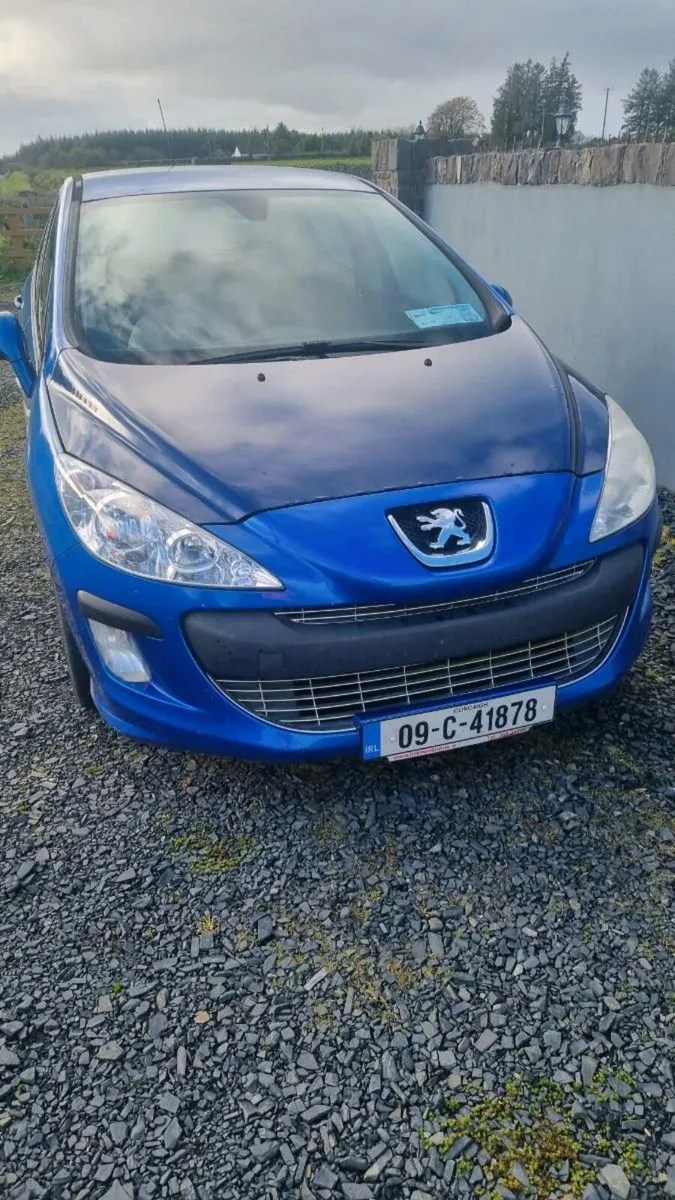 09 Peugeot - Image 1