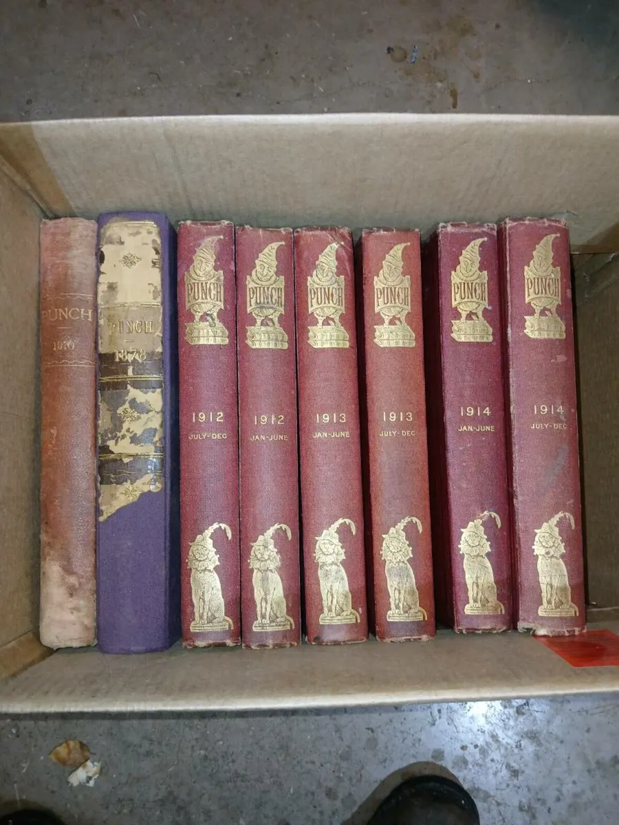 Punch Annuals - Image 2