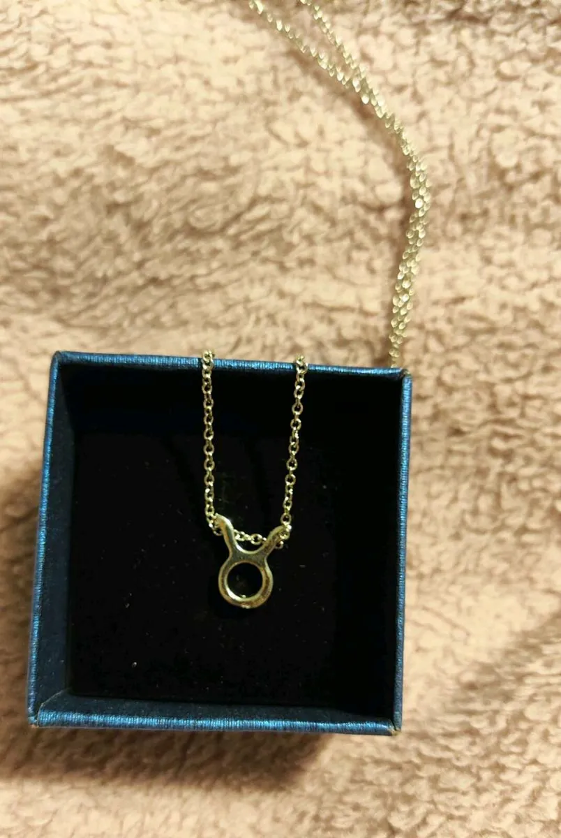 Taurus Zodiac Necklace – Celestial & Personal Char - Image 3