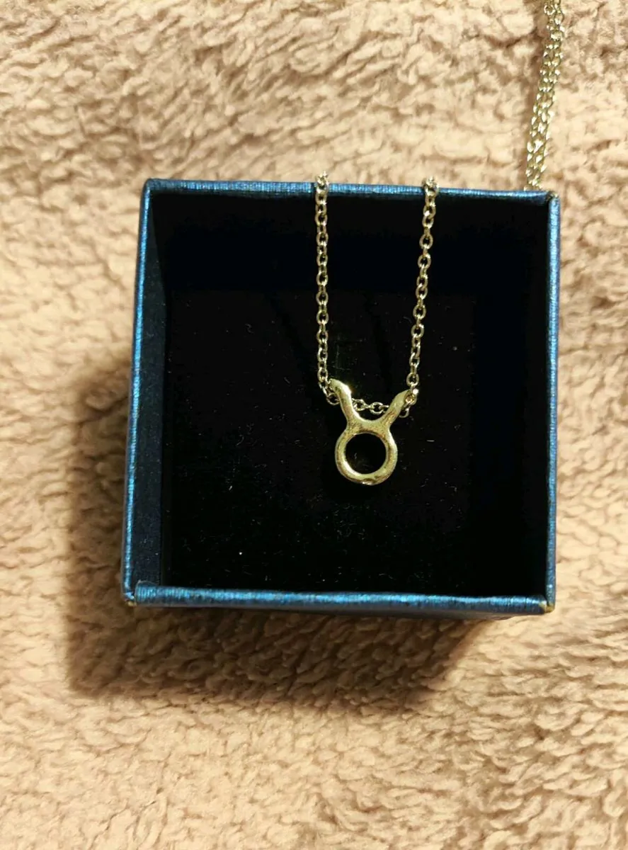 Taurus Zodiac Necklace – Celestial & Personal Char - Image 4