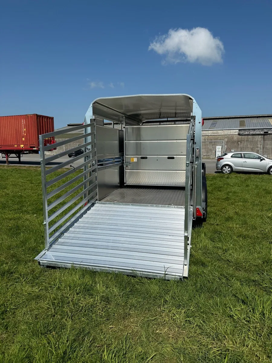 Ifor Williams 12x6 with tanks - Image 3