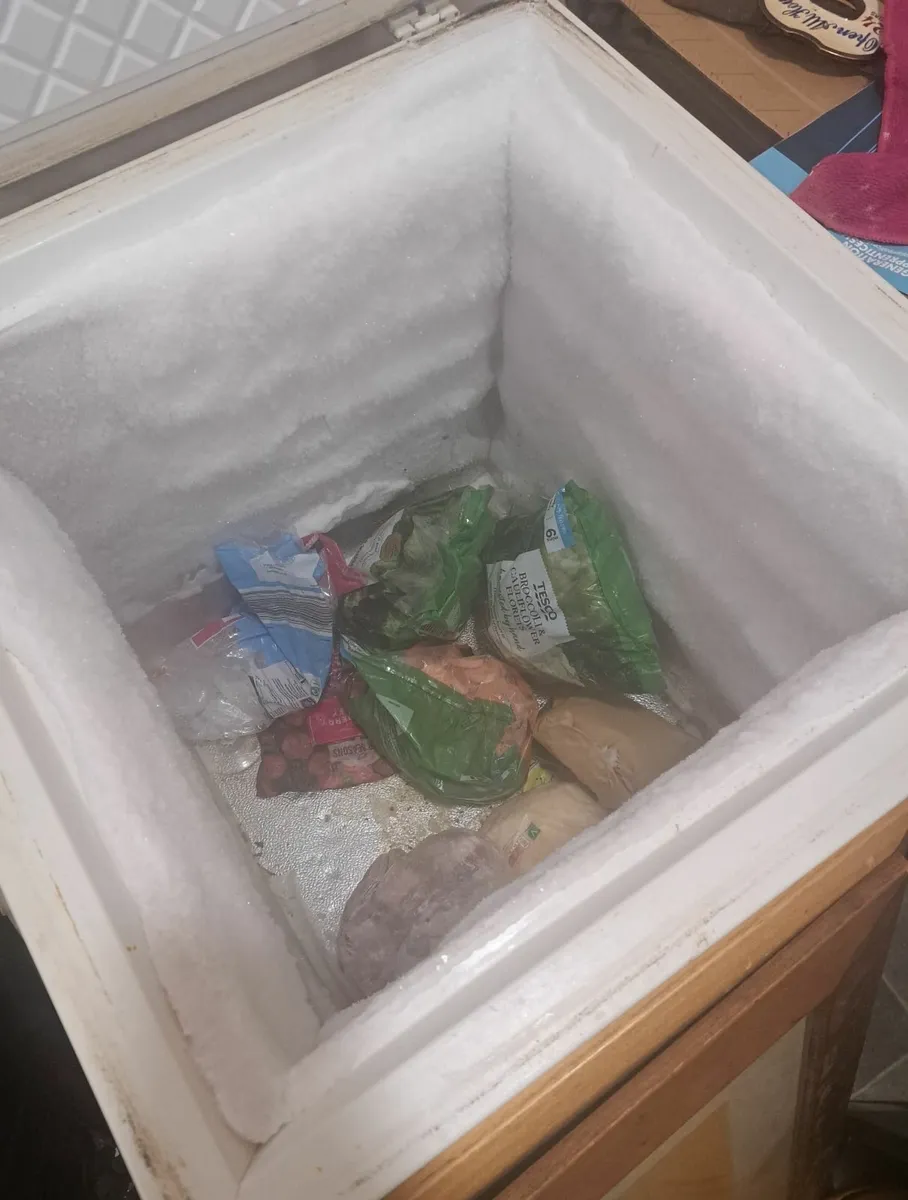 Deep Freezer - Image 3