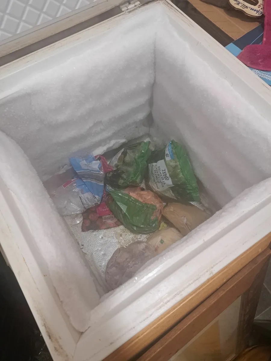 Deep Freezer - Image 4