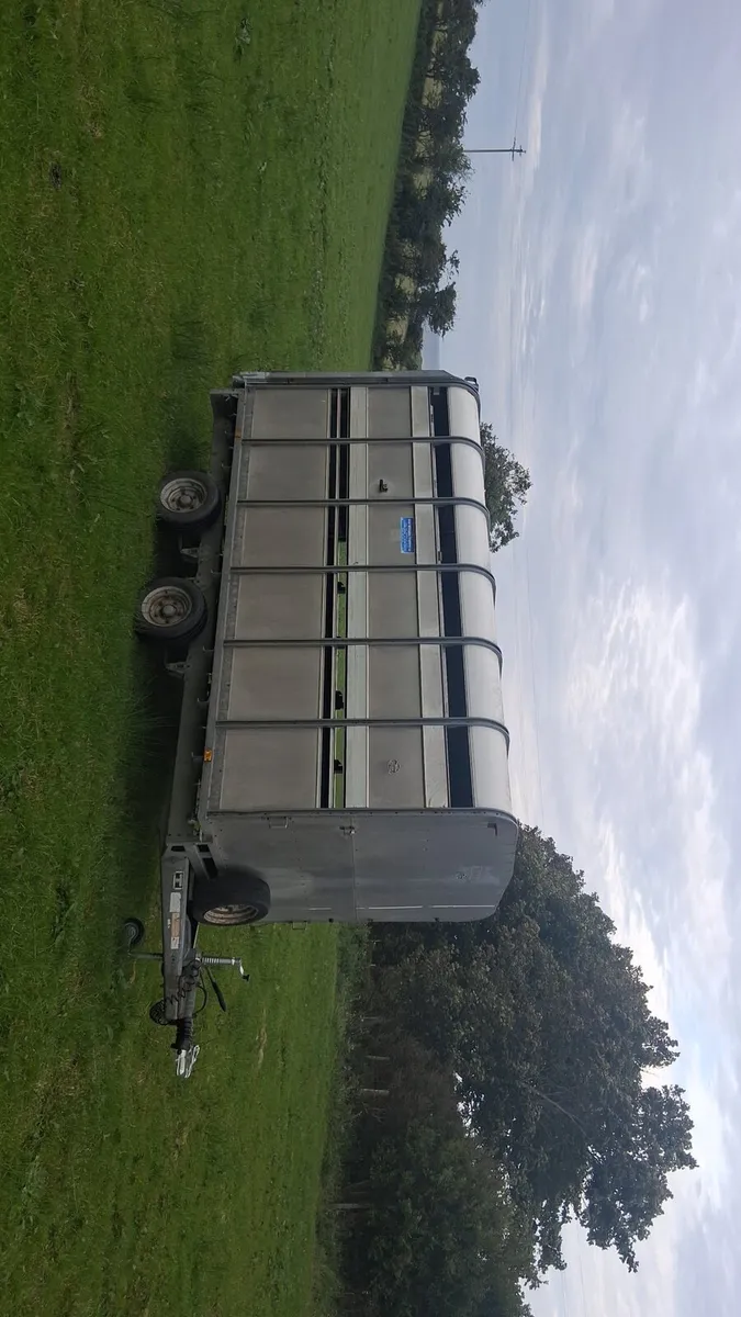 12x6 ifor williams cattle trailer with decks - Image 2