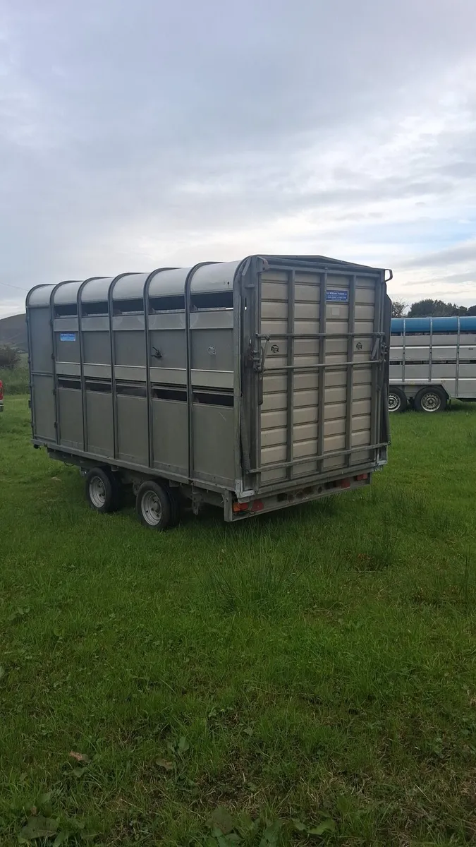12x6 ifor williams cattle trailer with decks - Image 4