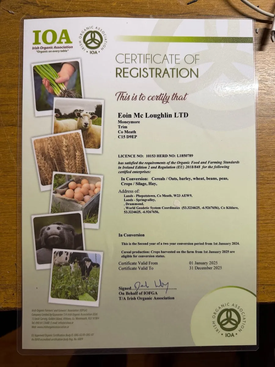 Second Year Conversion Barley, Beans - Image 3