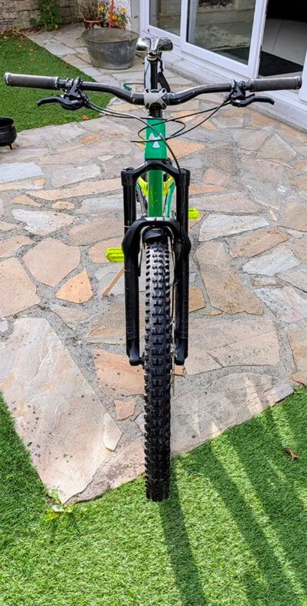 Nukeproof Megawatt 290 Alloy (medium) - Image 3