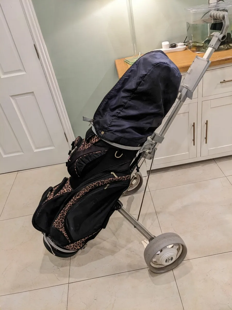 Golf Clubs - Image 1