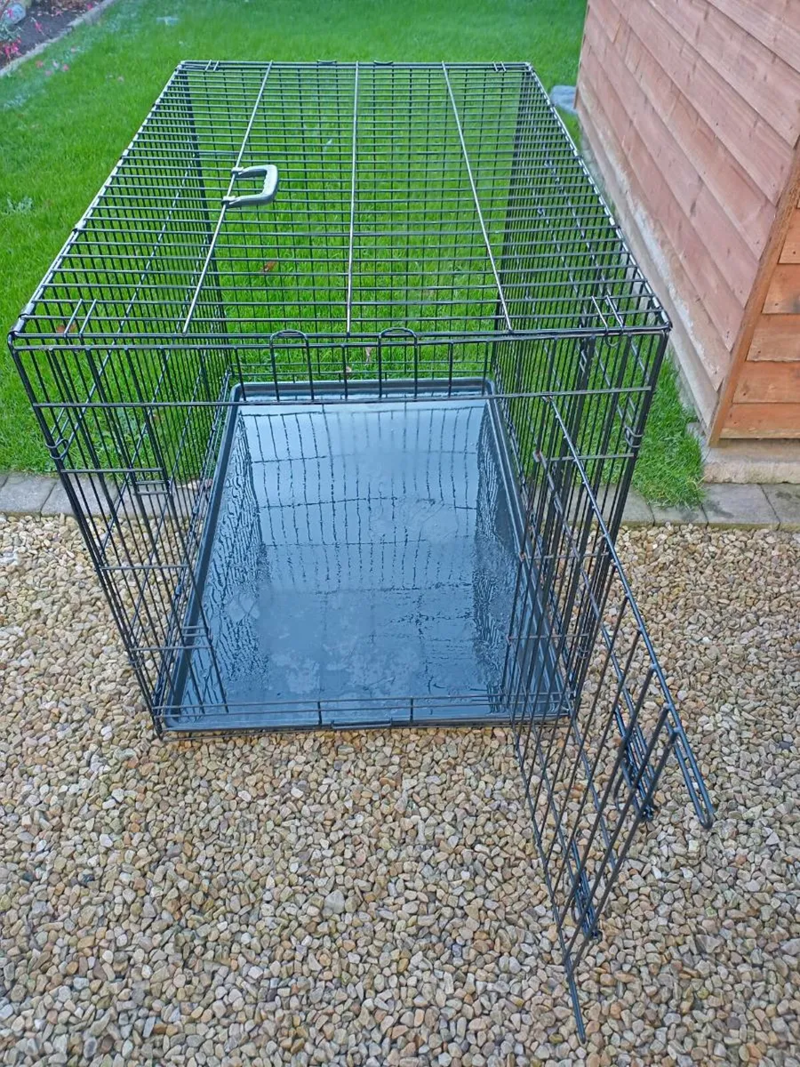 Extra large dog travel crate. - Image 2