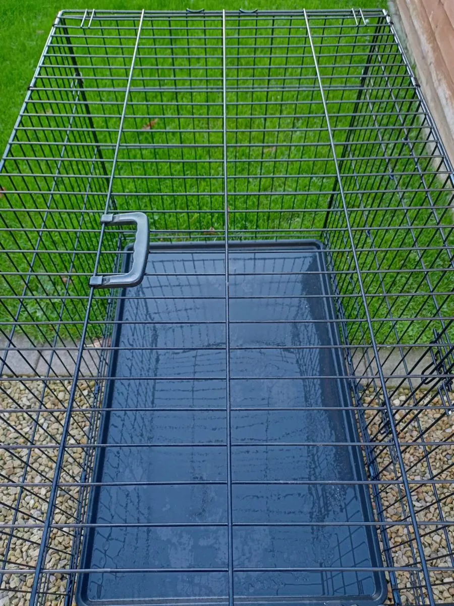 Extra large dog travel crate. - Image 3