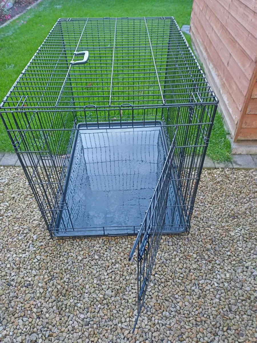 Extra large dog travel crate. - Image 4