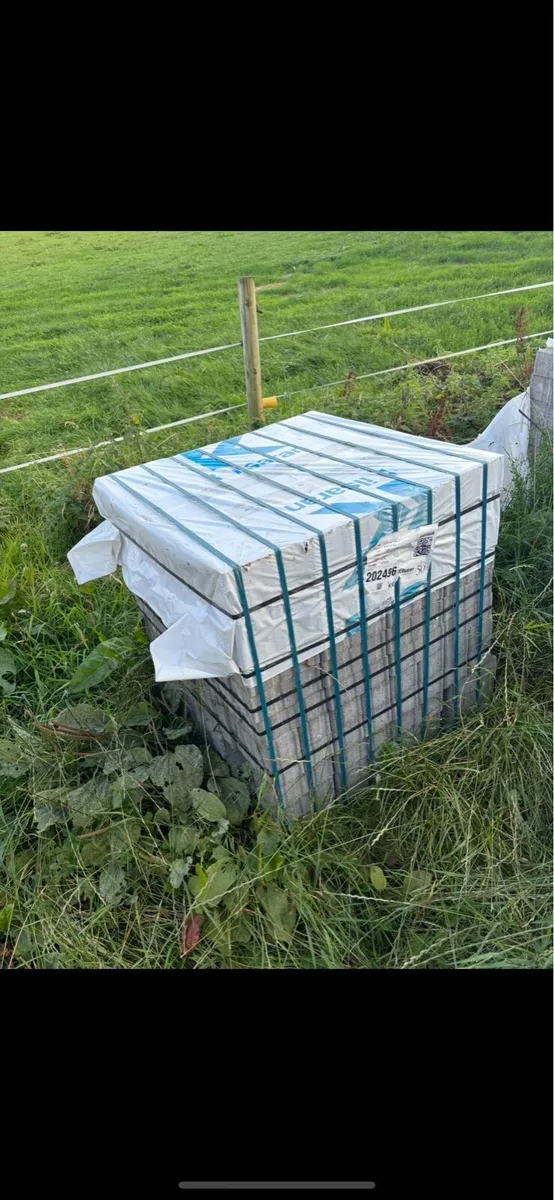 Paving Bricks - Image 3