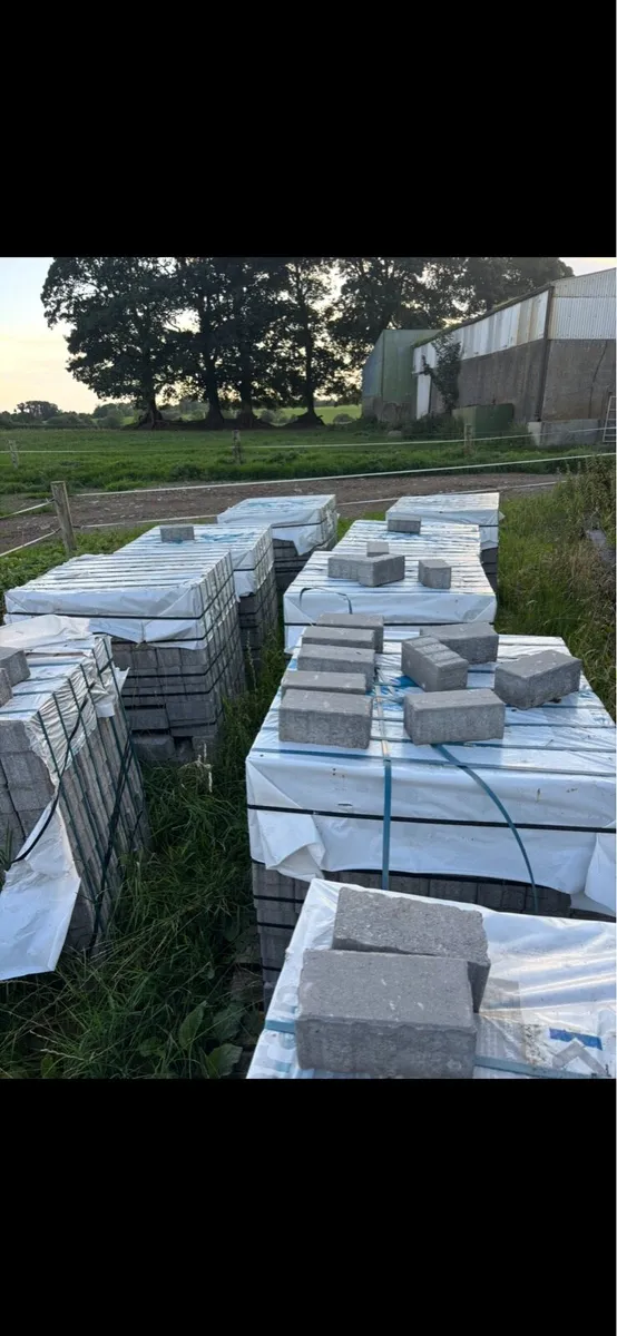 Paving Bricks - Image 1