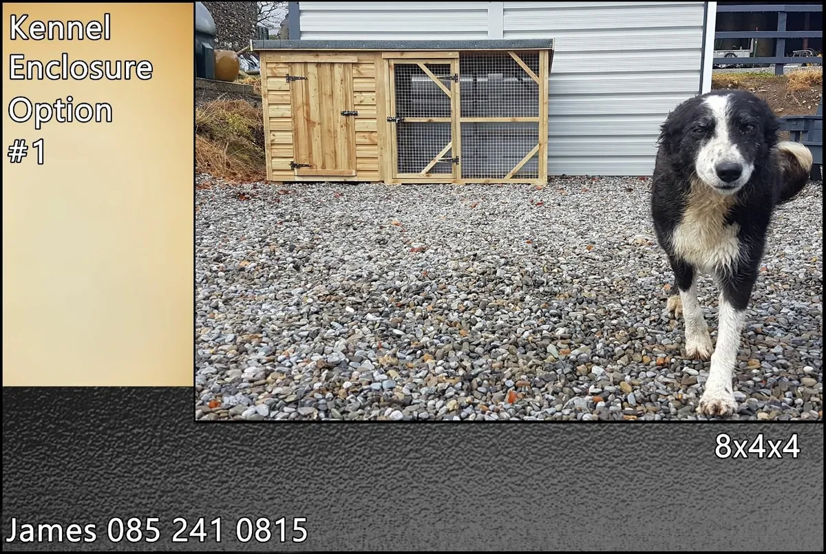 Winter ready Dog Kennel & Enclosure - Image 1