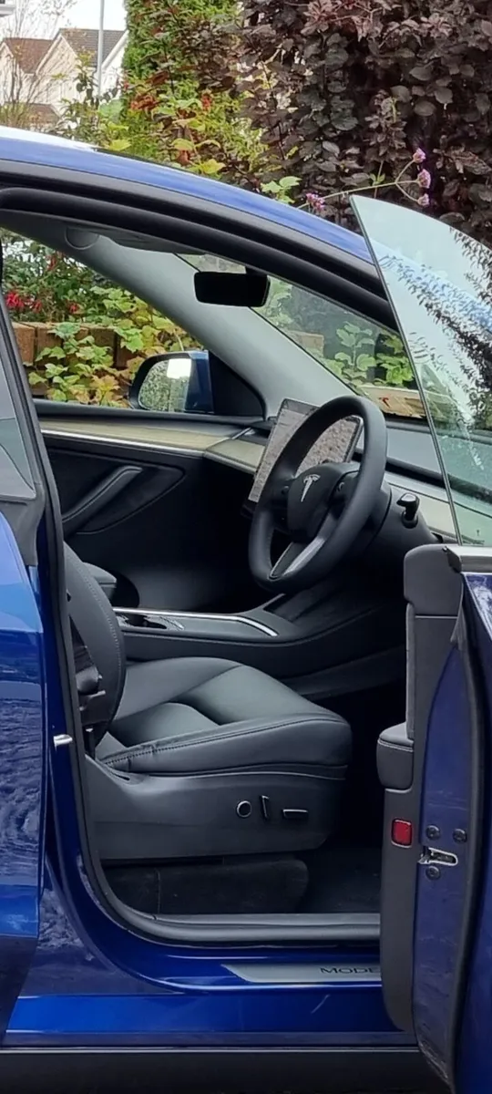 Tesla Model Y Long Range AWD - Image 1