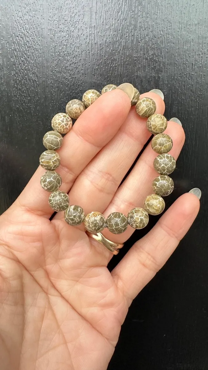 Natural Fossil Coral Bead Bracelet - Image 4