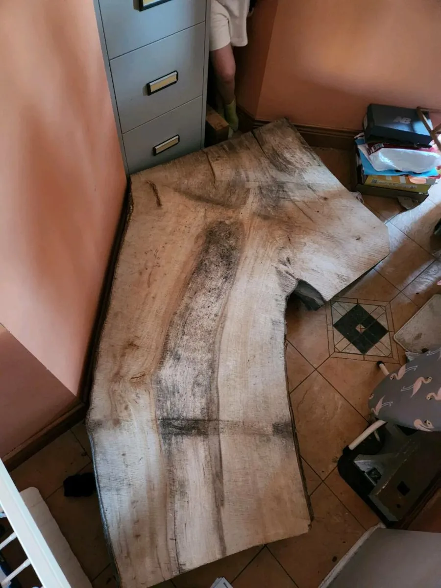 Giant wooden Live Beech Table Kitchen Island Epoxy - Image 1