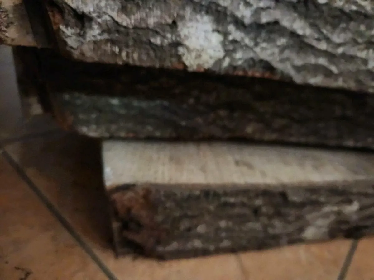 Giant wooden Live Beech Table Kitchen Island Epoxy - Image 2