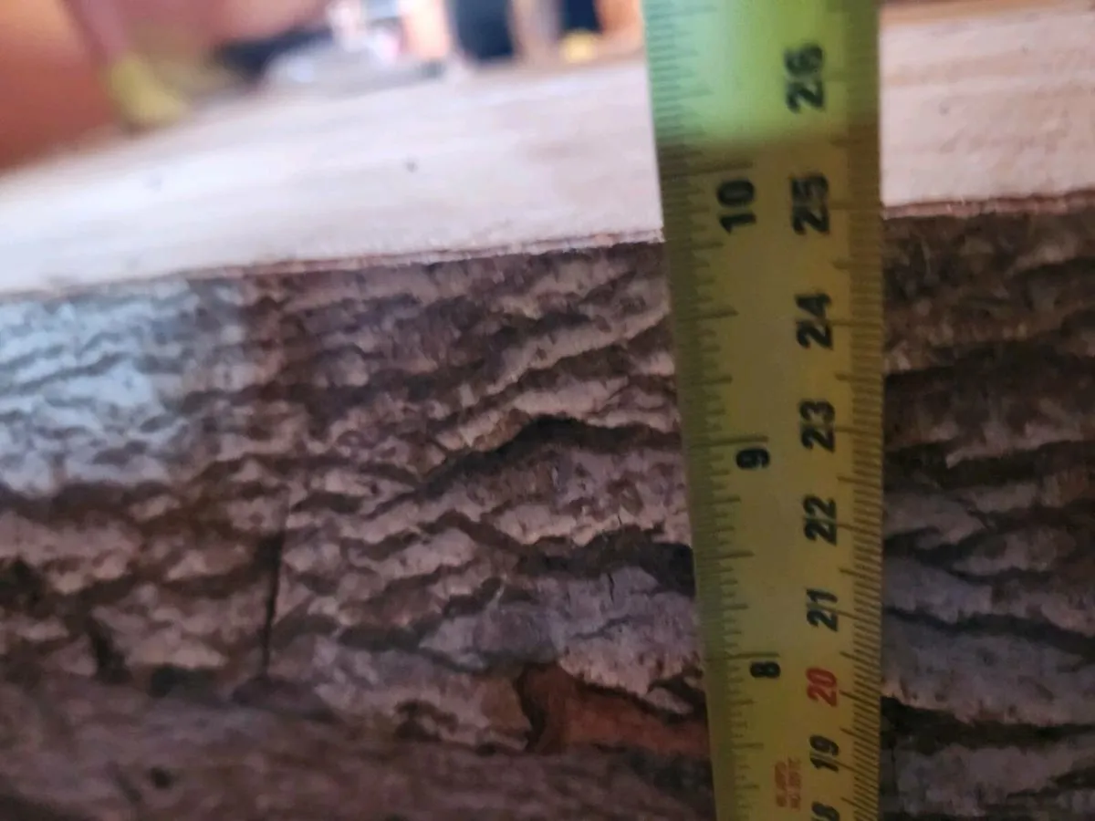 Giant wooden Live Beech Table Kitchen Island Epoxy - Image 4