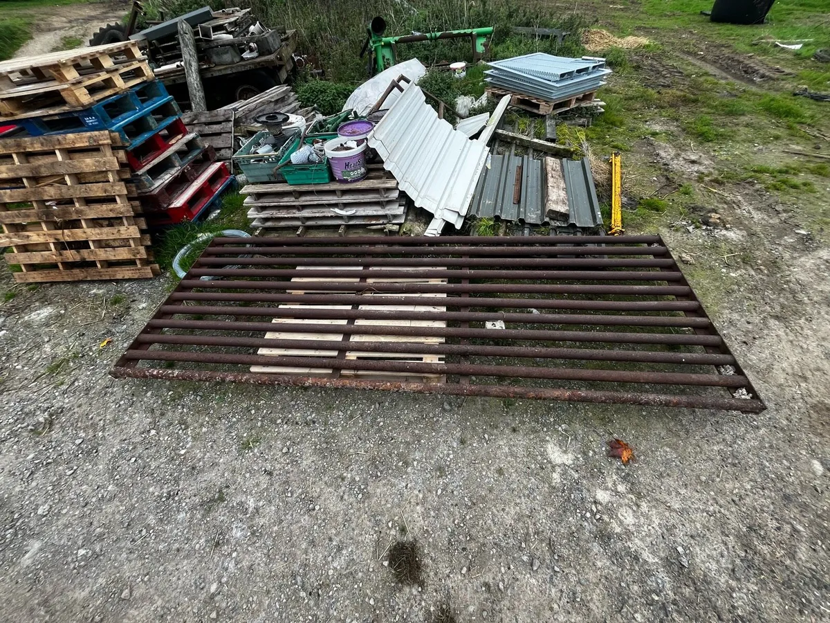 Cattle Grid - Image 2