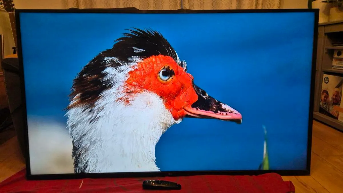 65-inch LG 4K UHD Smart TV - Image 4