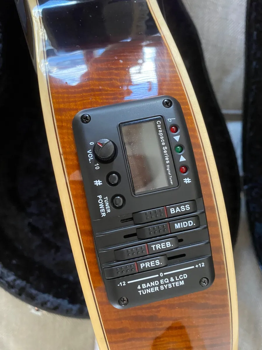 F-style Mando-Guitar - Image 3