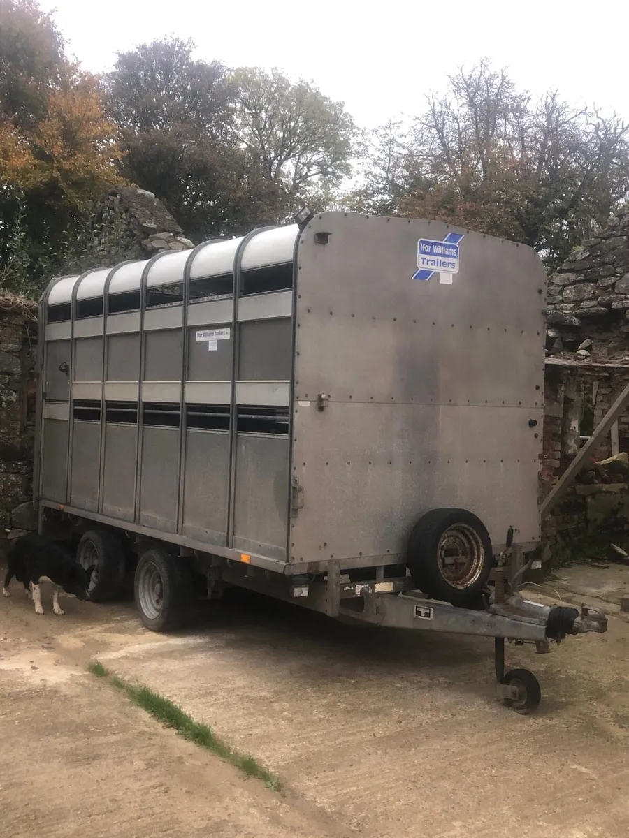Livestock ifor Williams cattle sheep trailer - Image 1