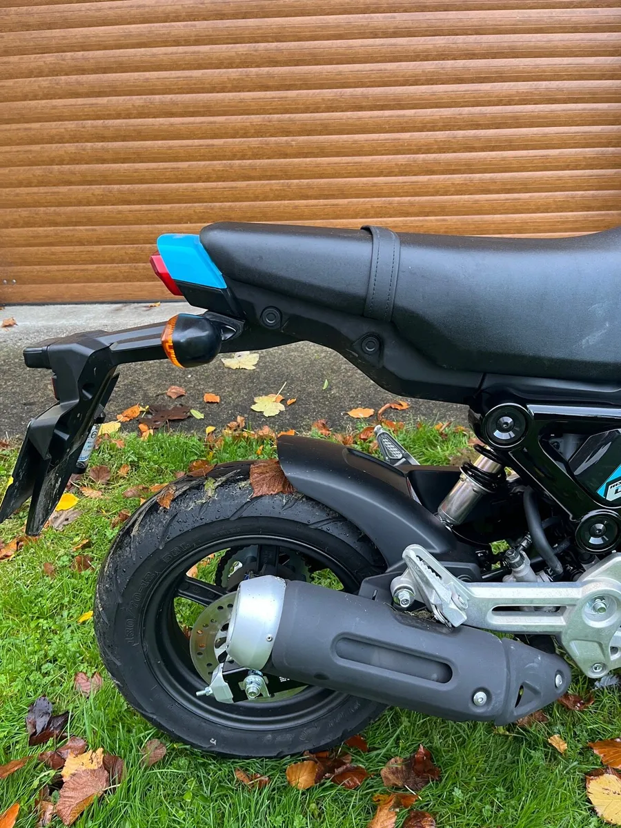 Honda MSX125 Grom - Image 3
