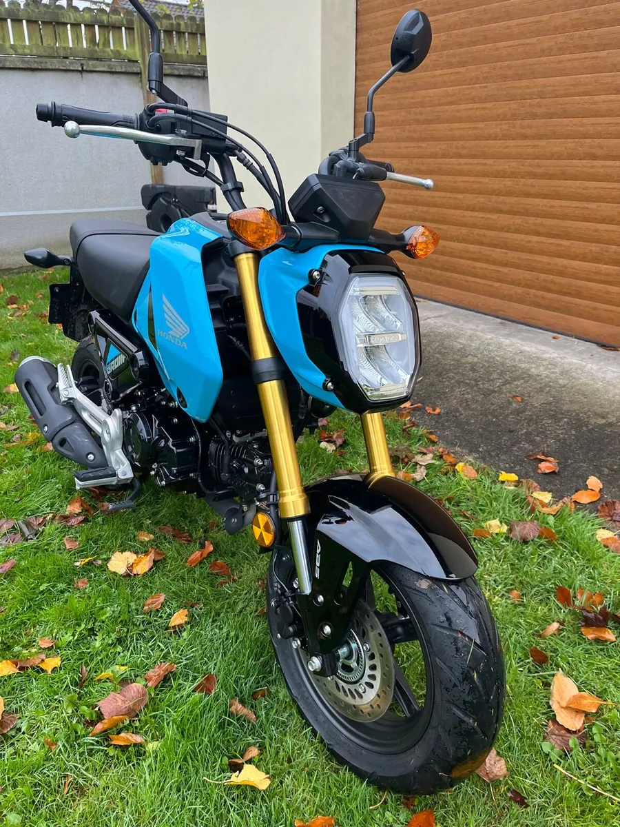 Honda MSX125 Grom - Image 1