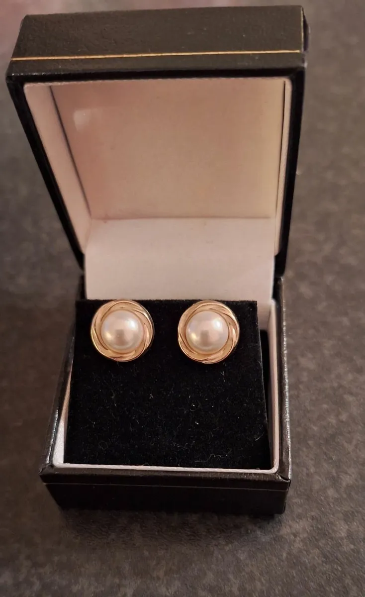 9ct Gold Earrings - Image 1