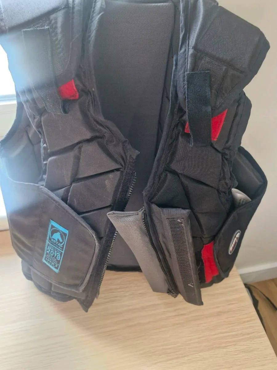 Back protector - Image 1