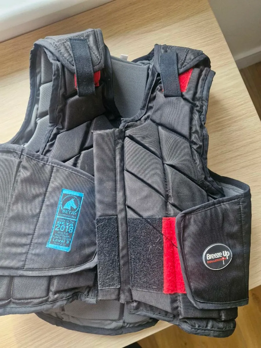 Back protector - Image 2