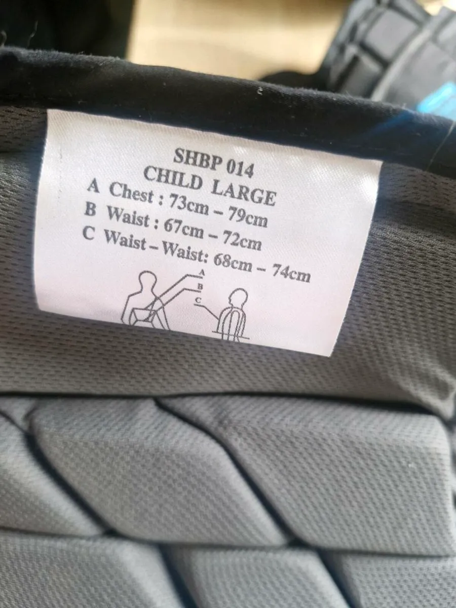 Back protector - Image 3