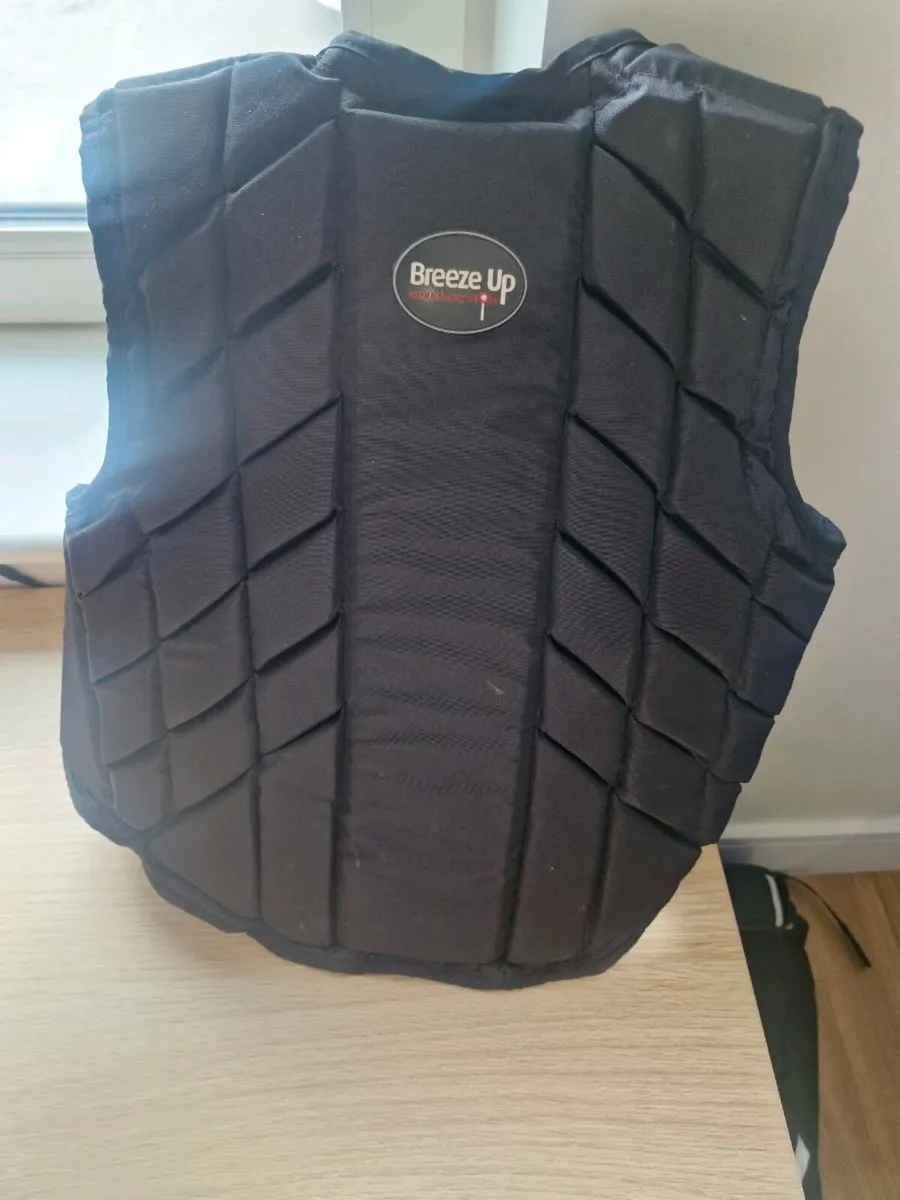 Back protector - Image 4