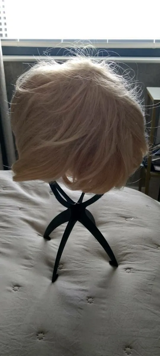 Wigs - Image 2