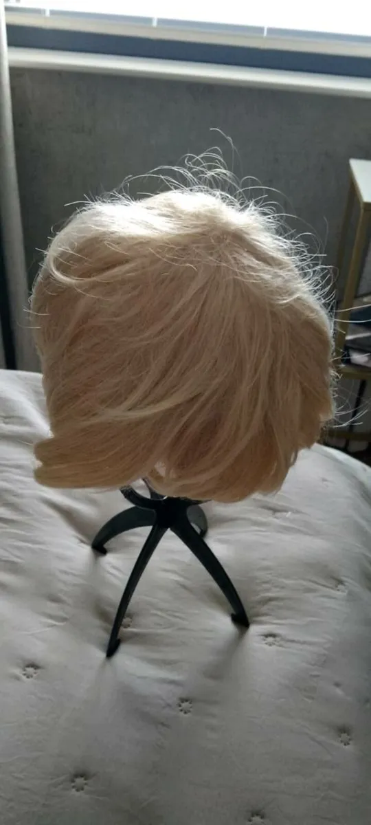 Wigs - Image 3
