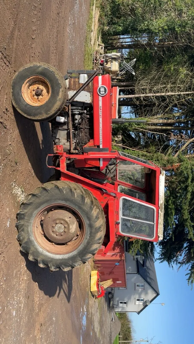 Massey 165 - Image 3
