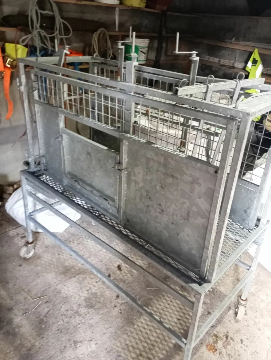Sheep Dressing Unit - Image 1