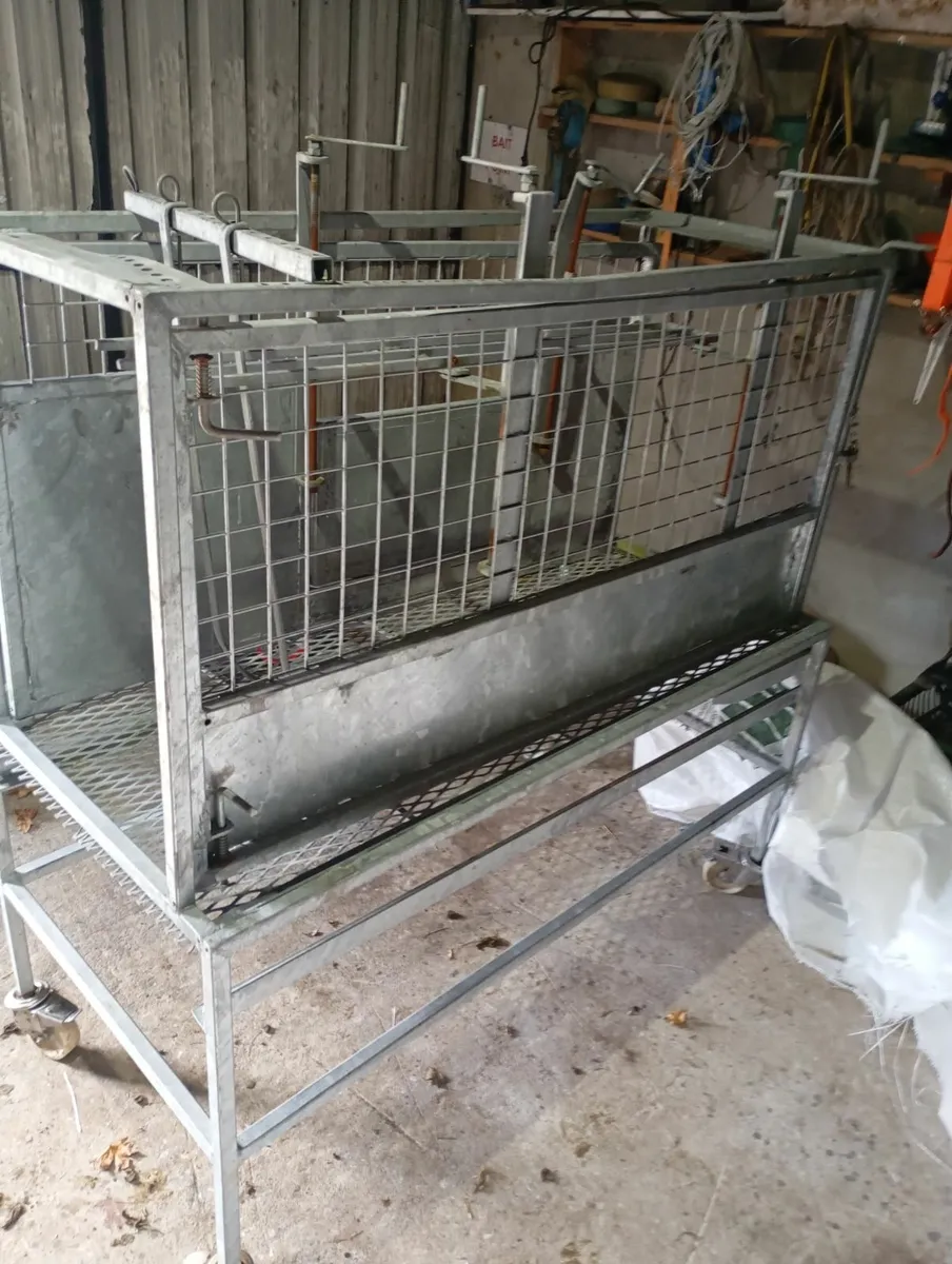 Sheep Dressing Unit - Image 3